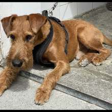 IMG_1988-1 IMG_1988-1