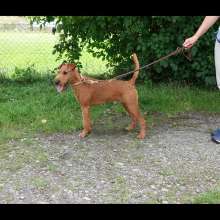 Jacko_im_Juli_2023 Jacko_im_Juli_2023