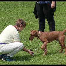 Jacko_im_Juli_2023_1 Jacko_im_Juli_2023_1