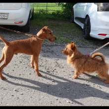 Jacko_im_Juli_2023_2 Jacko_im_Juli_2023_2