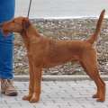 George_von_der_grevenburg_Standbild