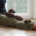 DSC07536